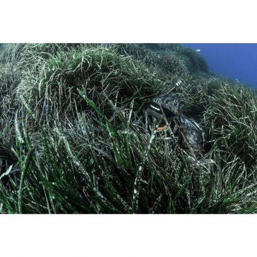 Cressi Tracina 5 mm spodnie (LE465102)